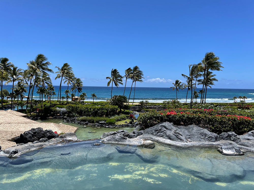 Grand Hyatt Kauai